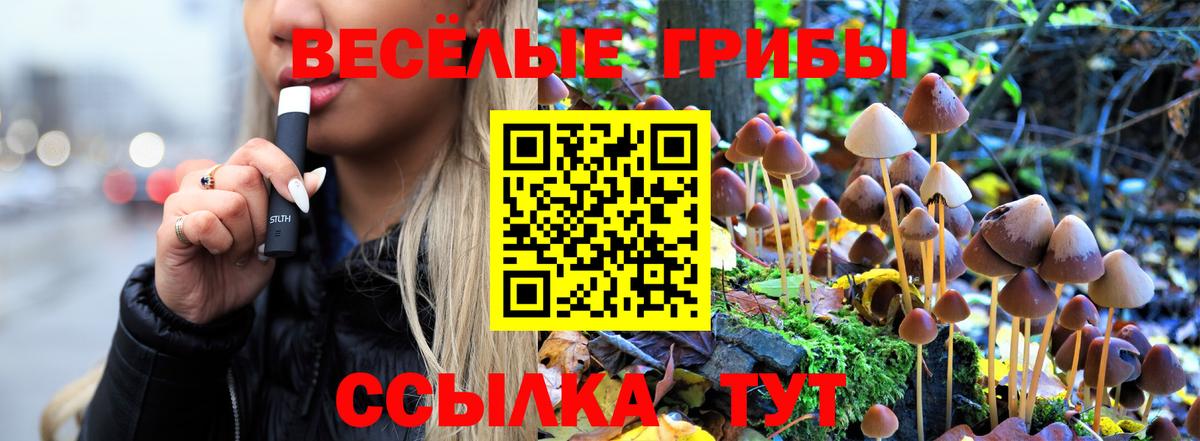 Галлюциногенные грибы Cubensis  Кольчугино  Псилоцибиновые грибы мицелий 