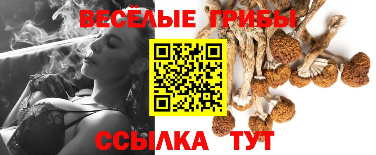 Кольчугино  Галлюциногенные грибы мицелий  Вход с VPN 